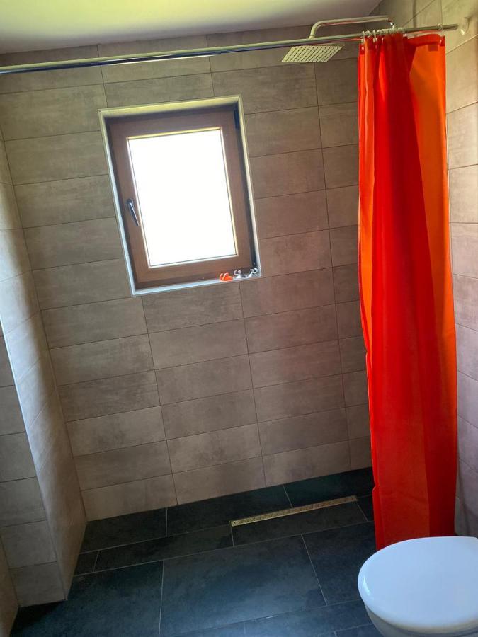 Casa Cerbului Διαμέρισμα Vişeu de Sus Εξωτερικό φωτογραφία