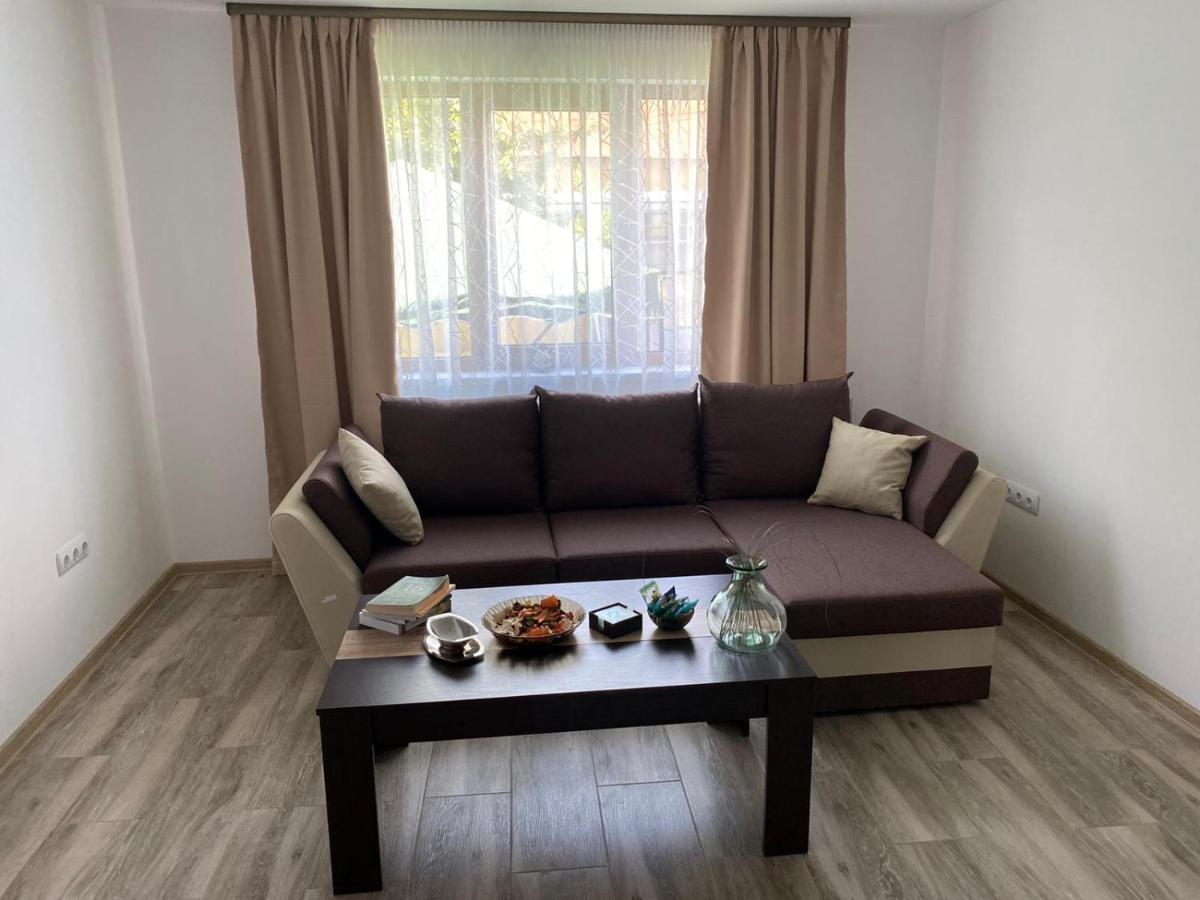 Casa Cerbului Διαμέρισμα Vişeu de Sus Εξωτερικό φωτογραφία