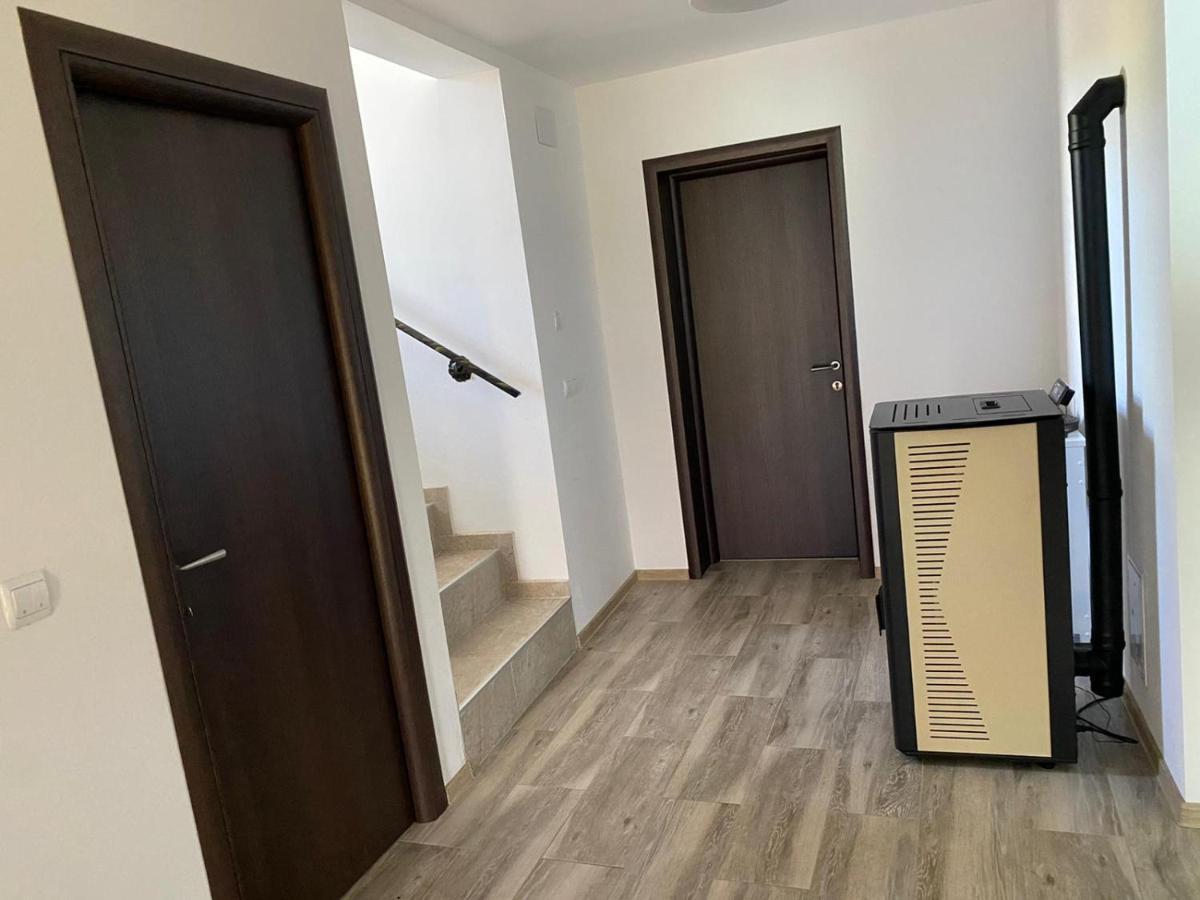 Casa Cerbului Διαμέρισμα Vişeu de Sus Εξωτερικό φωτογραφία
