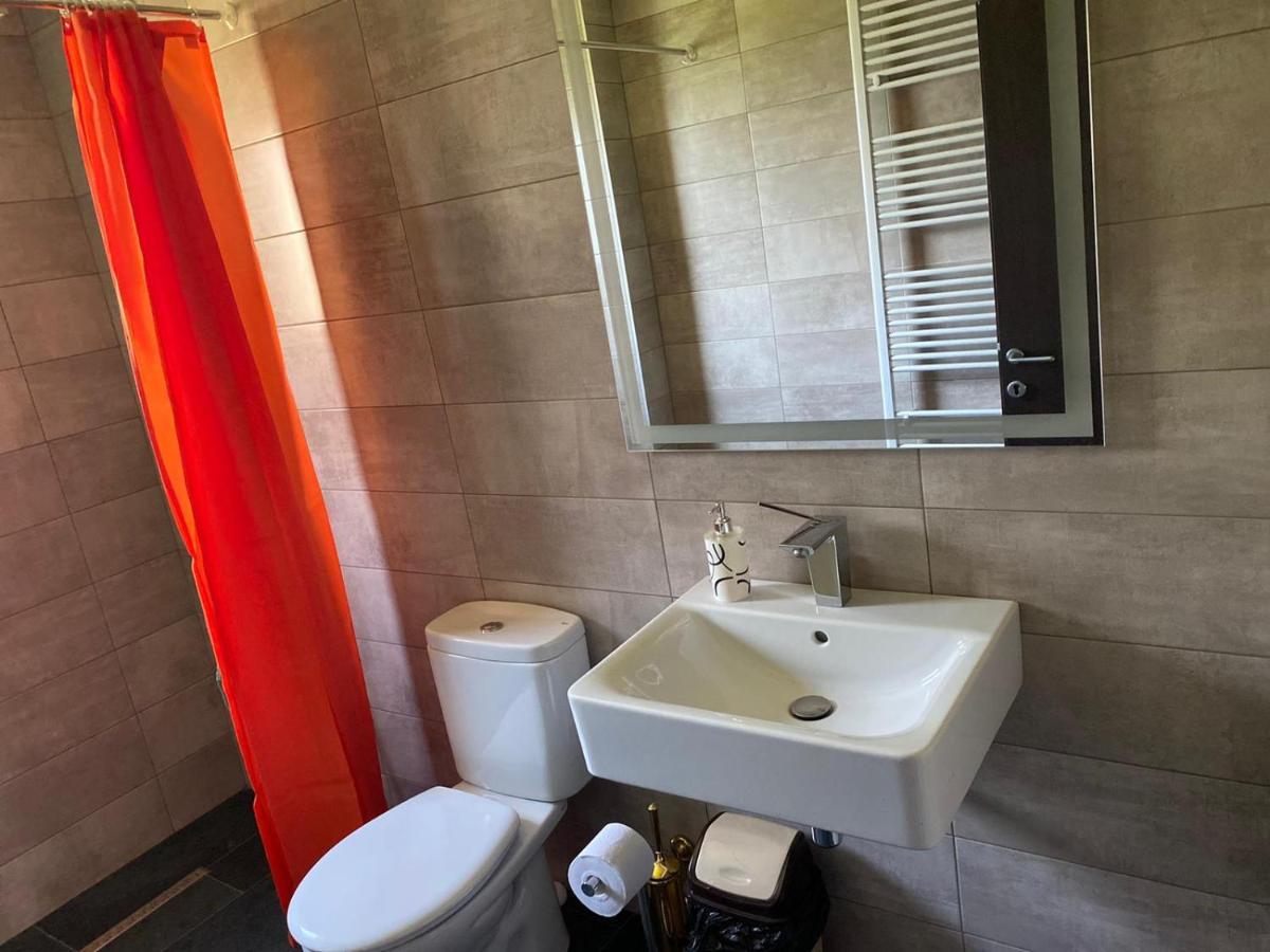 Casa Cerbului Διαμέρισμα Vişeu de Sus Εξωτερικό φωτογραφία