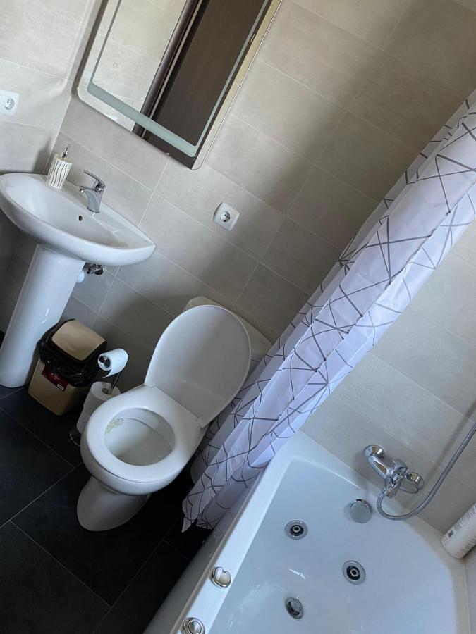 Casa Cerbului Διαμέρισμα Vişeu de Sus Εξωτερικό φωτογραφία