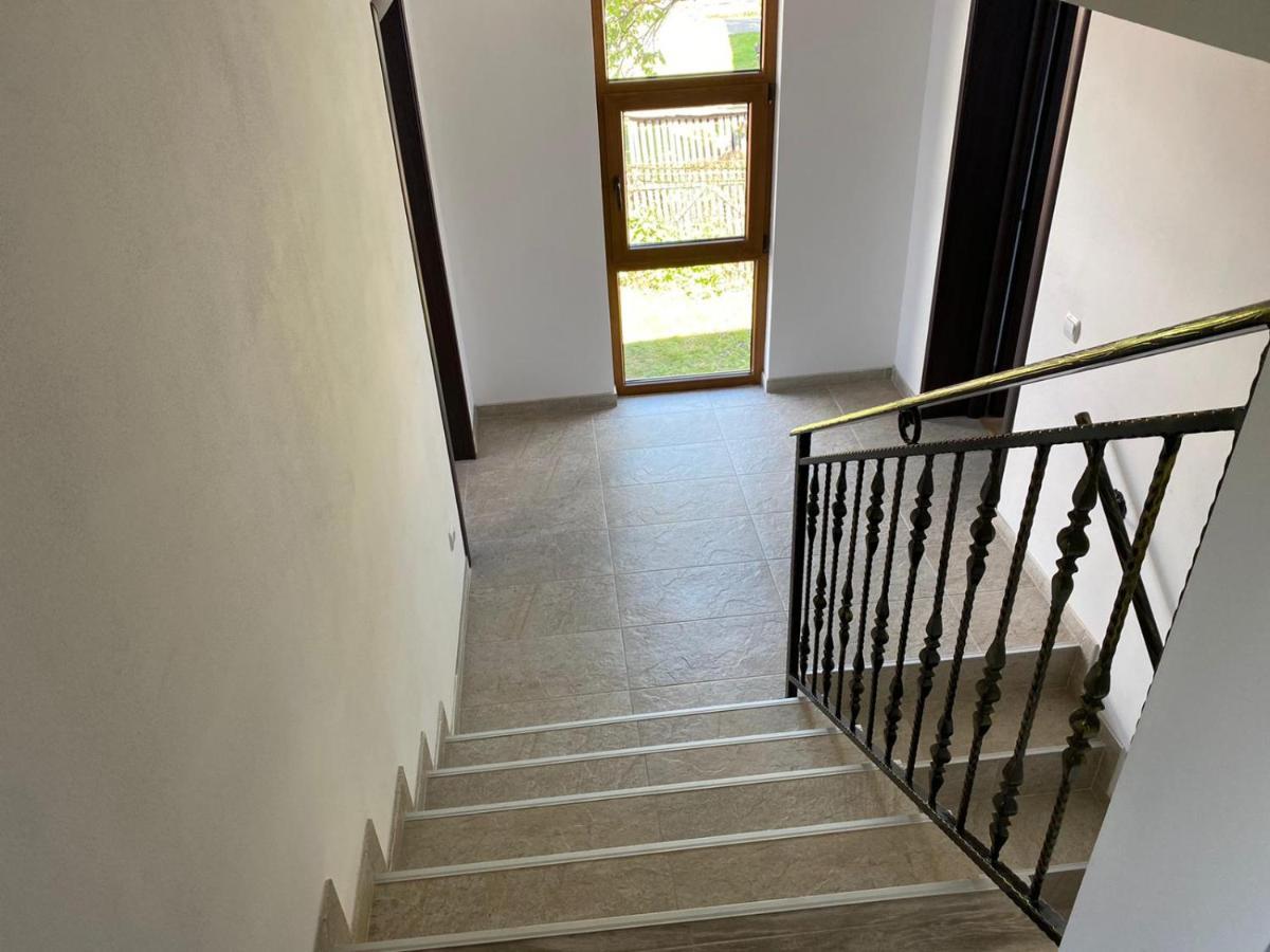 Casa Cerbului Διαμέρισμα Vişeu de Sus Εξωτερικό φωτογραφία