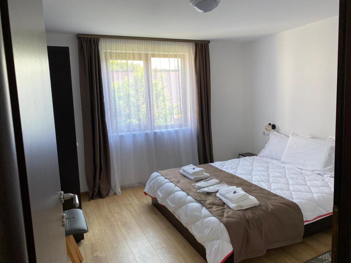 Casa Cerbului Διαμέρισμα Vişeu de Sus Εξωτερικό φωτογραφία