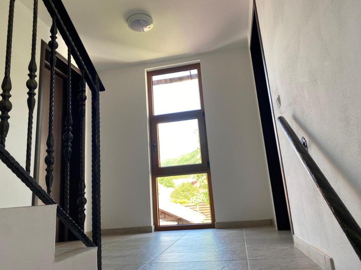 Casa Cerbului Διαμέρισμα Vişeu de Sus Εξωτερικό φωτογραφία
